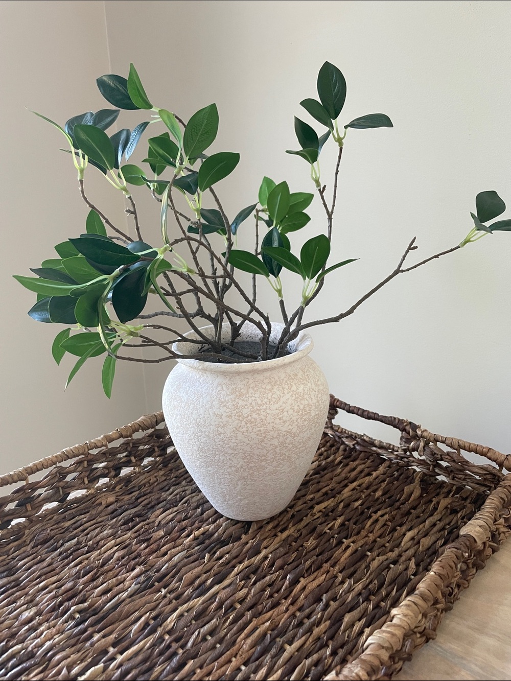 Decorative Cream Ceramic Vase with Green Faux Foliage - Unbranded